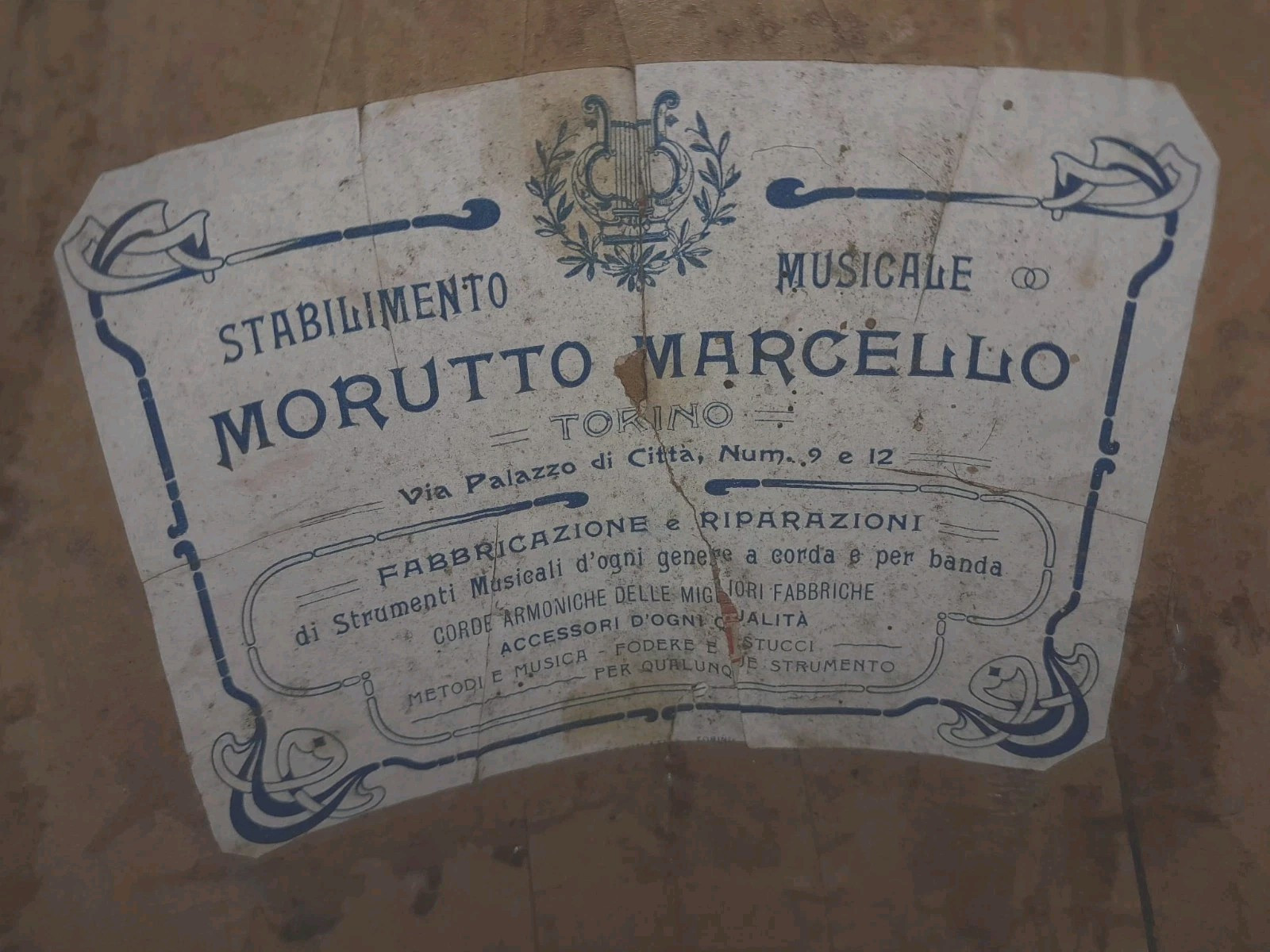 Mandolin 4/4 Morutto Marcello 1900 Turin 曼陀林 만돌린マンドリン
