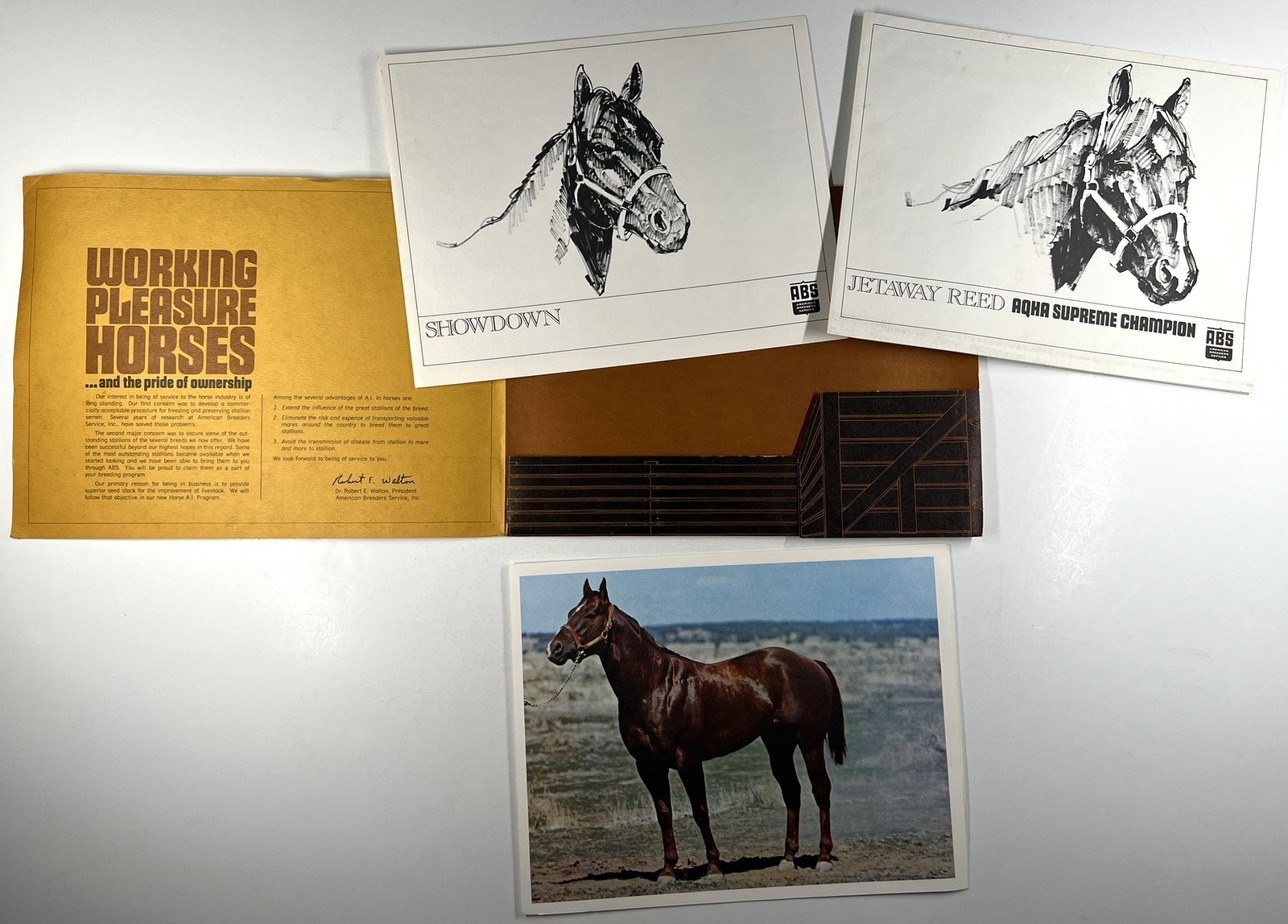 ABS WORKING-PLEASURE HORSES ca 1968 AQHA BREEDER HORSE PROFILES w/ ART PORTRAITS