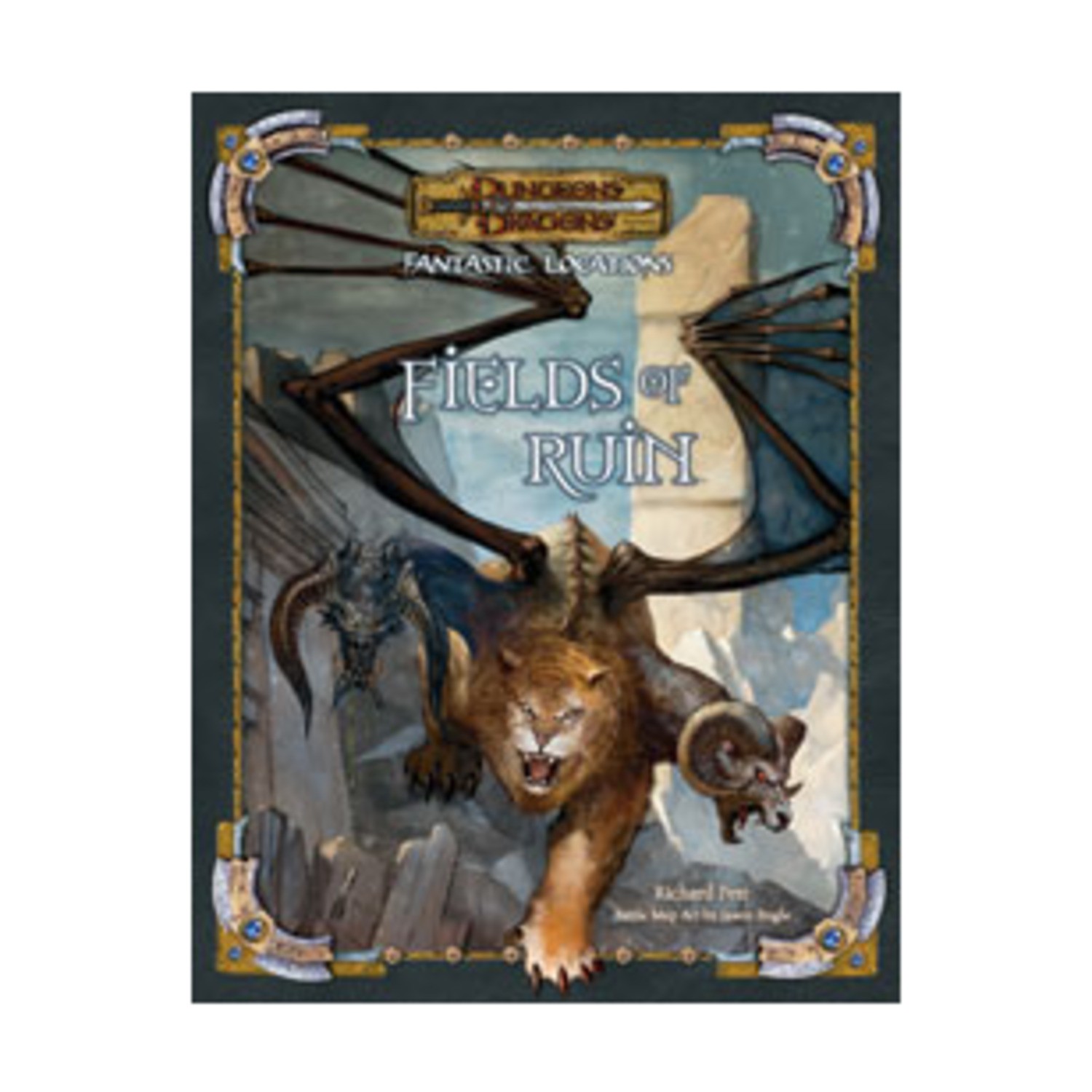 WotC D&D 3rd Ed Fields of Ruin Bag VG+