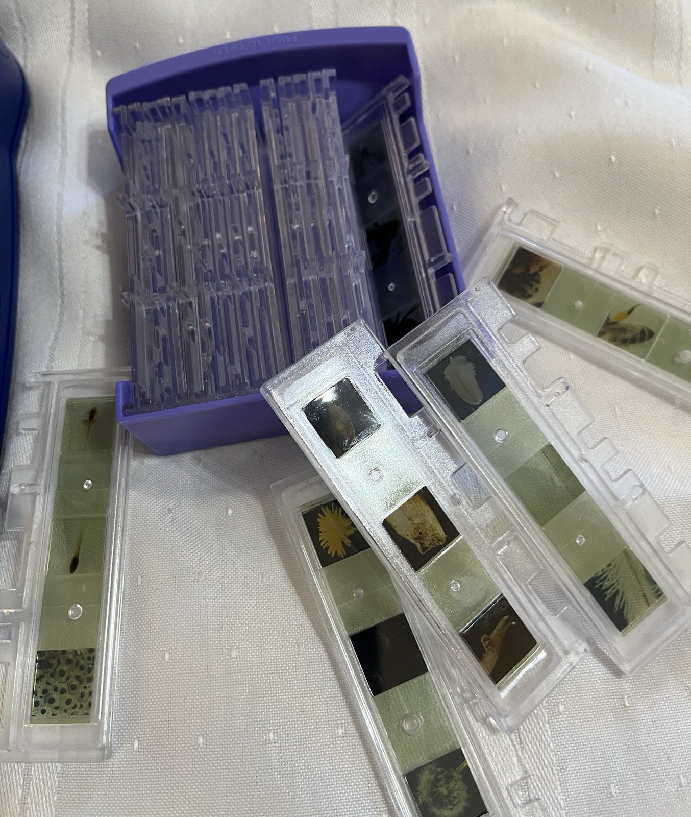 Educational Insights GeoSafari Jr. Talking Interactive Microscope Ages 3+