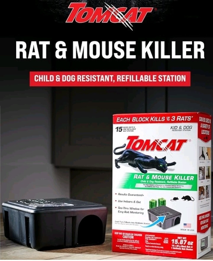 Free Shipping Tomcat Rat & Mouse Killer, 1 Station & 15 Bait Blocks in Each Box