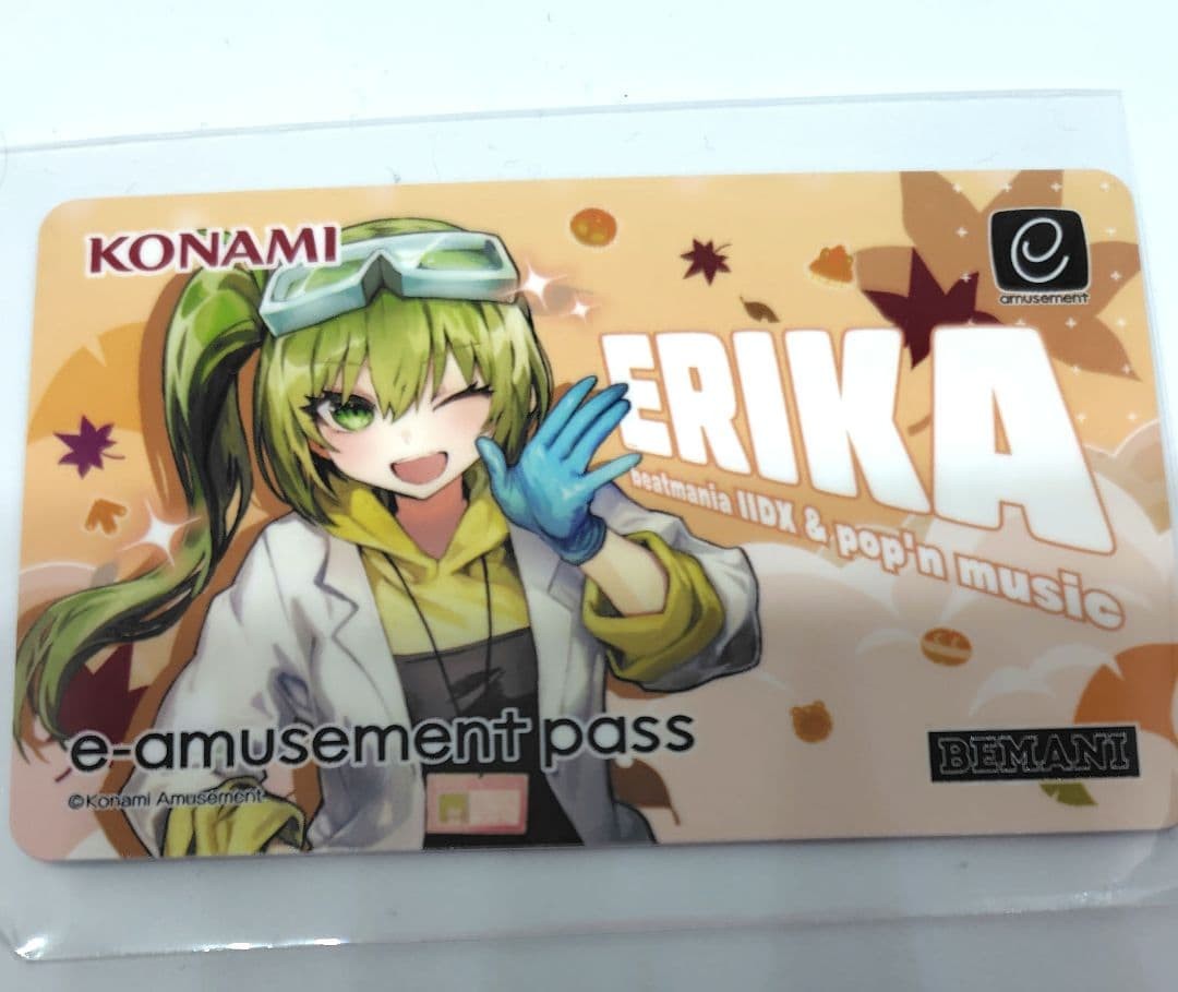 E-Amusement Pass Autumn Conaste Thanksgiving Festival 2024 Erica