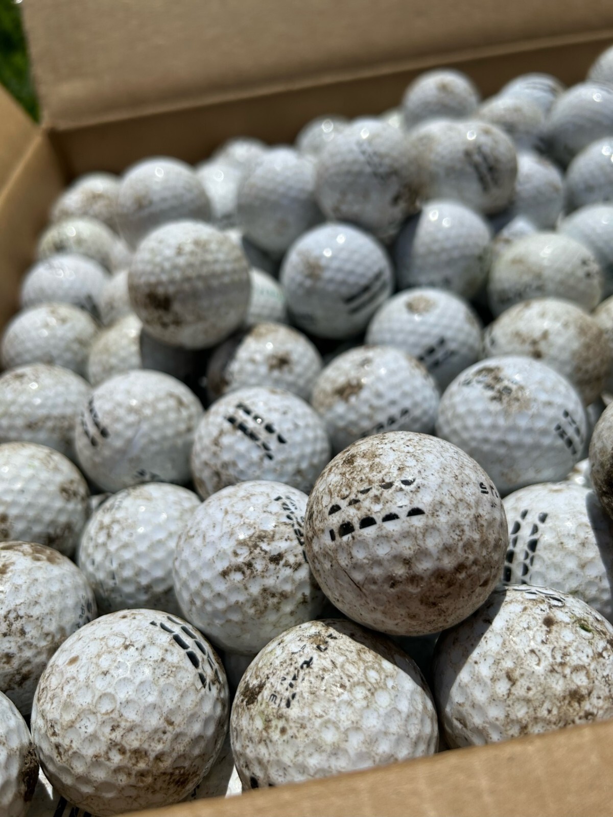 300 Range Practice Golf Balls D Grade Practice Shag Golf Balls FREE SHIPPING