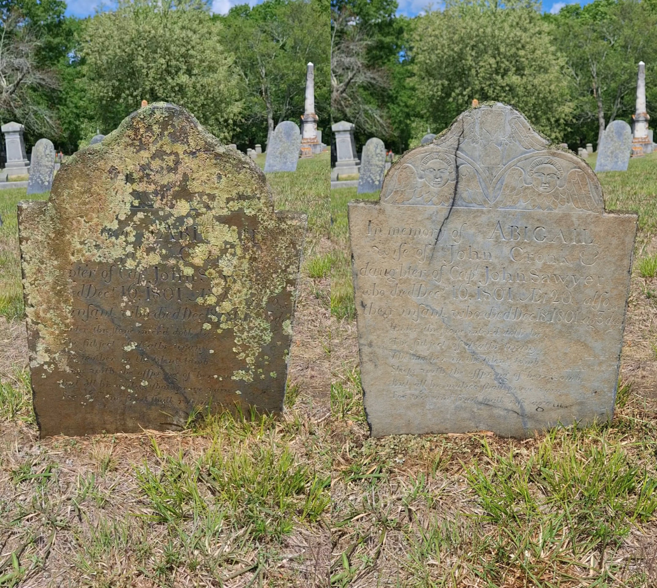 Endurance Restoration - Gravestone & Monument Cleaning - Starter Set