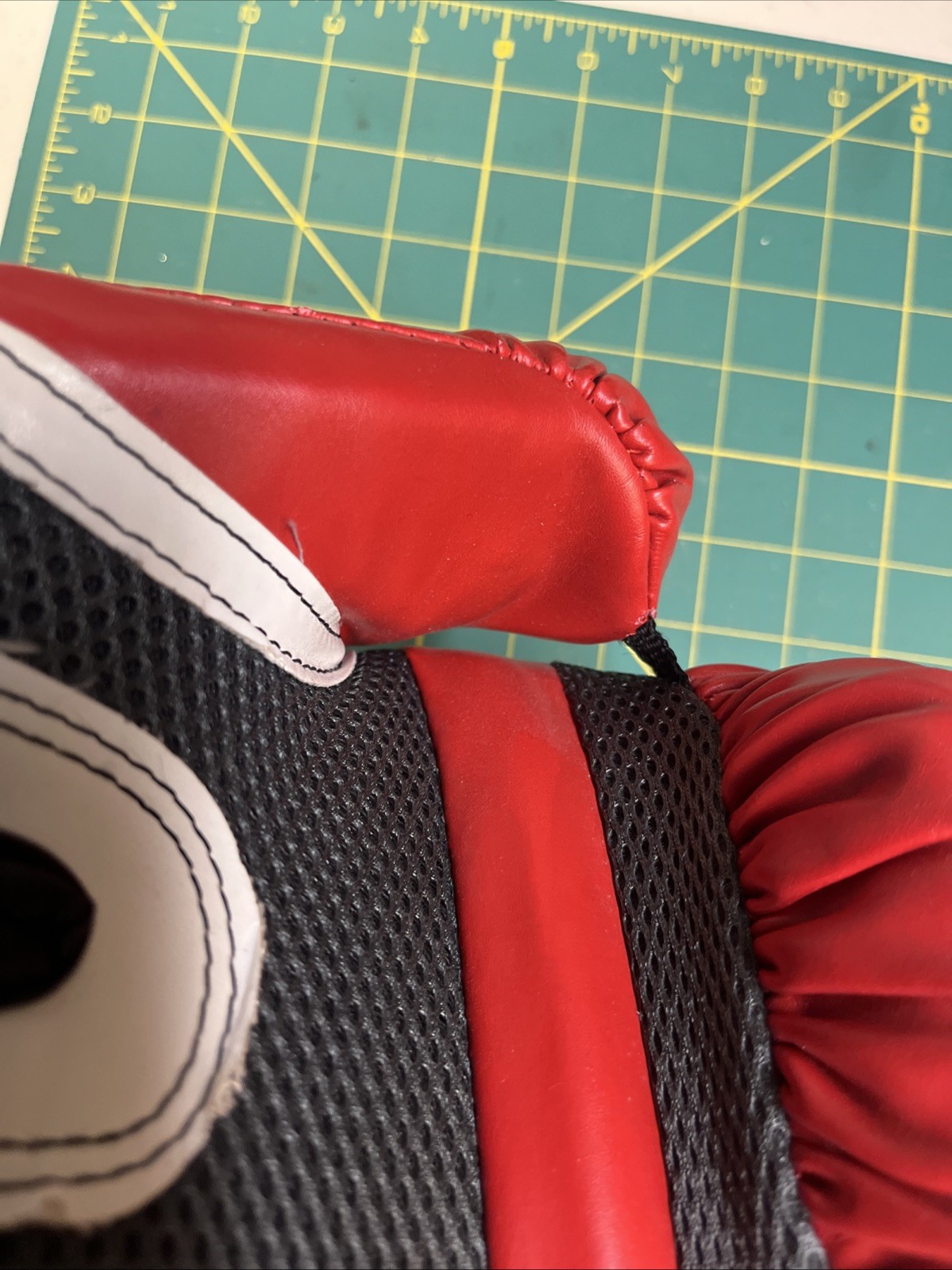 Everlast 1200013 12 oz. Sparring Gloves - Red