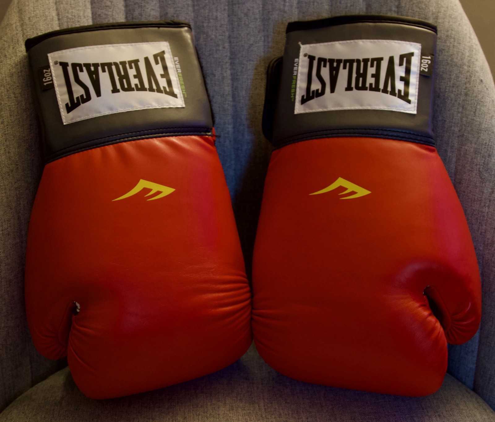 Everlast 1200009 Pro Style Training Gloves 16 Oz Red