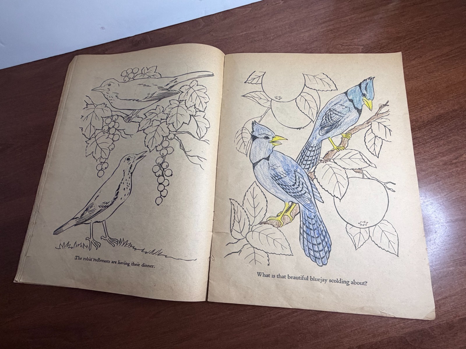 1960's Large Wise Owl Coloring book. (Q)