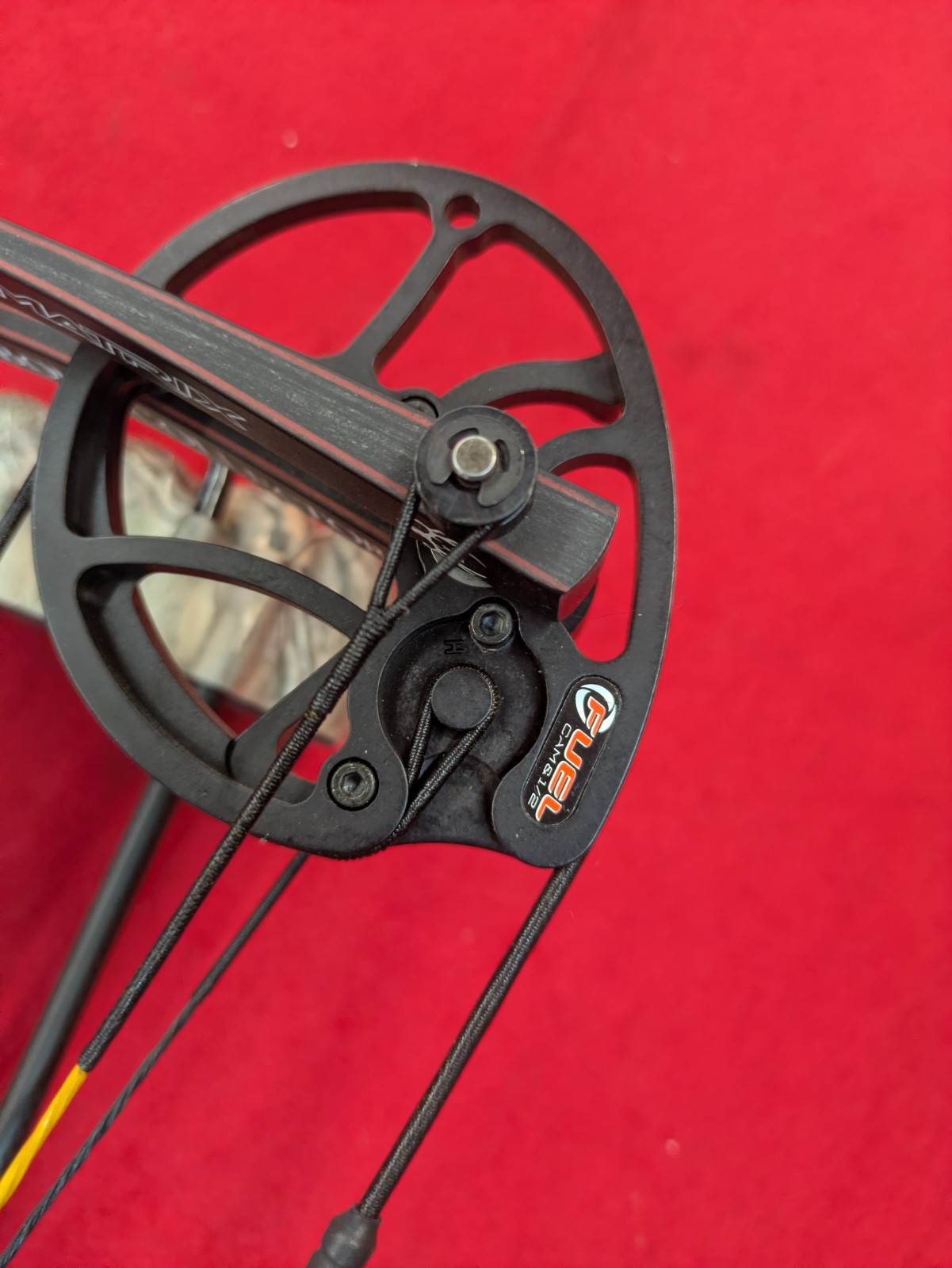 Hoyt Carbon Matrix Compound Bow