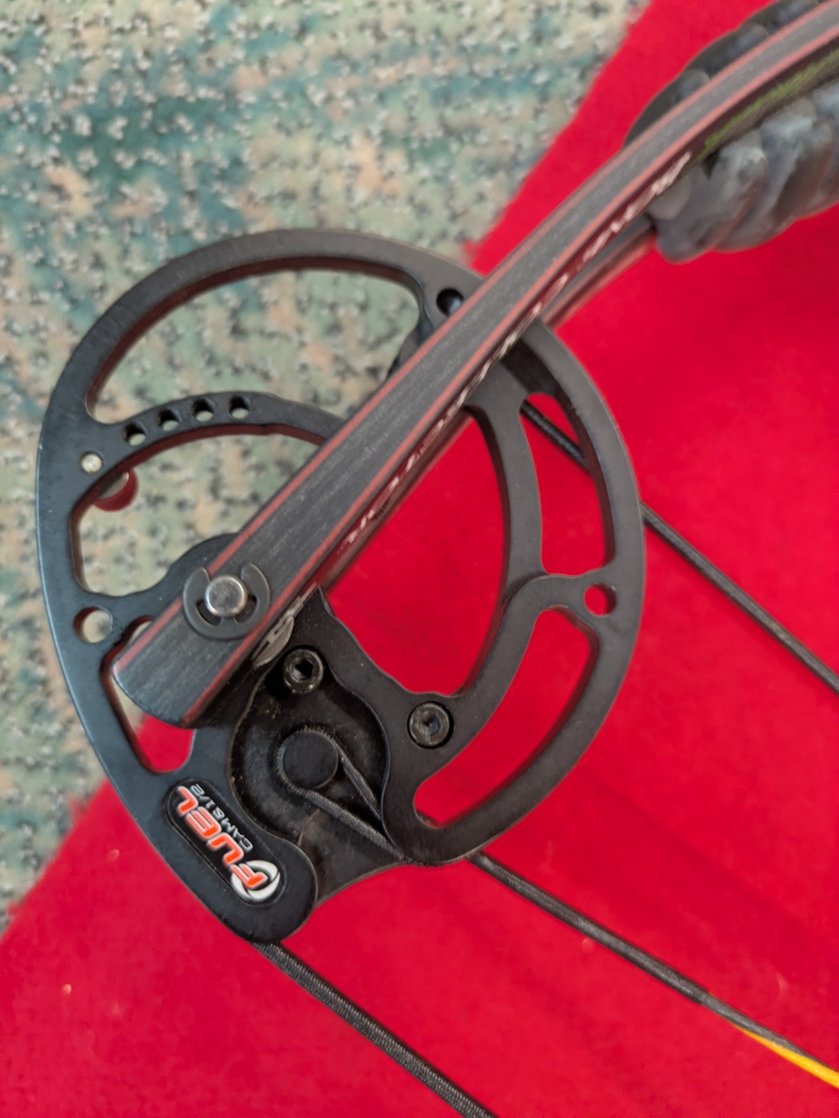 Hoyt Carbon Matrix Compound Bow
