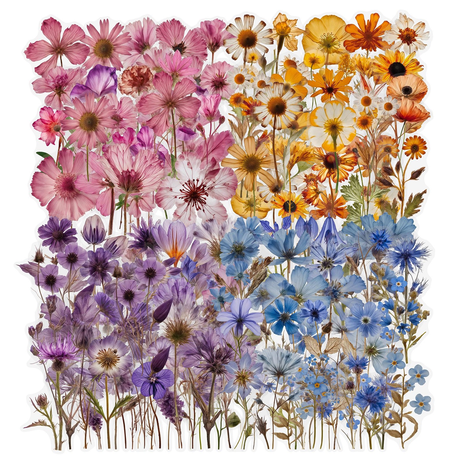 Dried Flower Stickers 200 Pcs Pressed Floral Botanical Scrapbook Junk Journal Ar