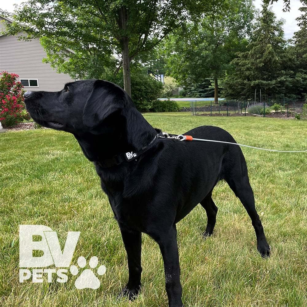 BV Dog Tie Out Cable 25 Feet - Heavy Duty Dog Lead up to 90 Pounds - Reflective