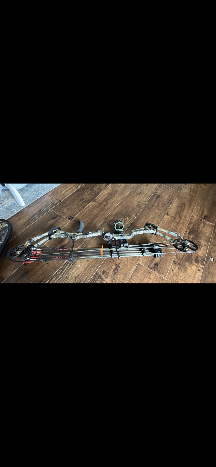 bear bow compound