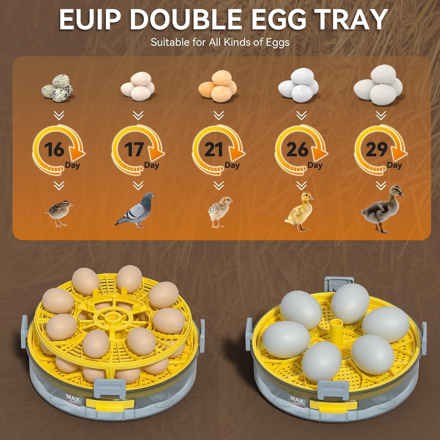 Incubators for Hatching Eggs, Egg Incubator with Automatic Egg Turning and Humid