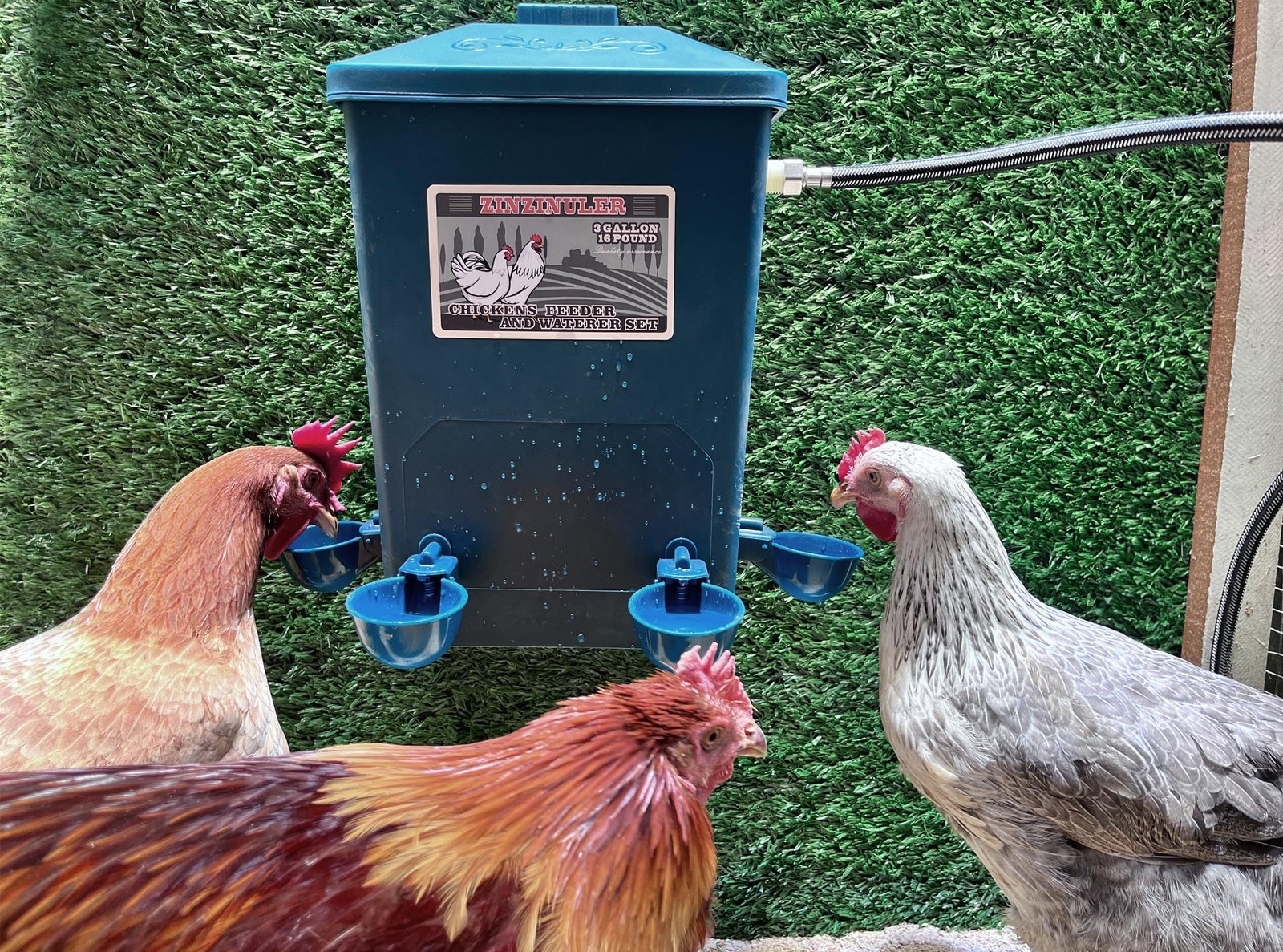 Automatic Chicken Waterer With Float Control And Large Capacity Pro