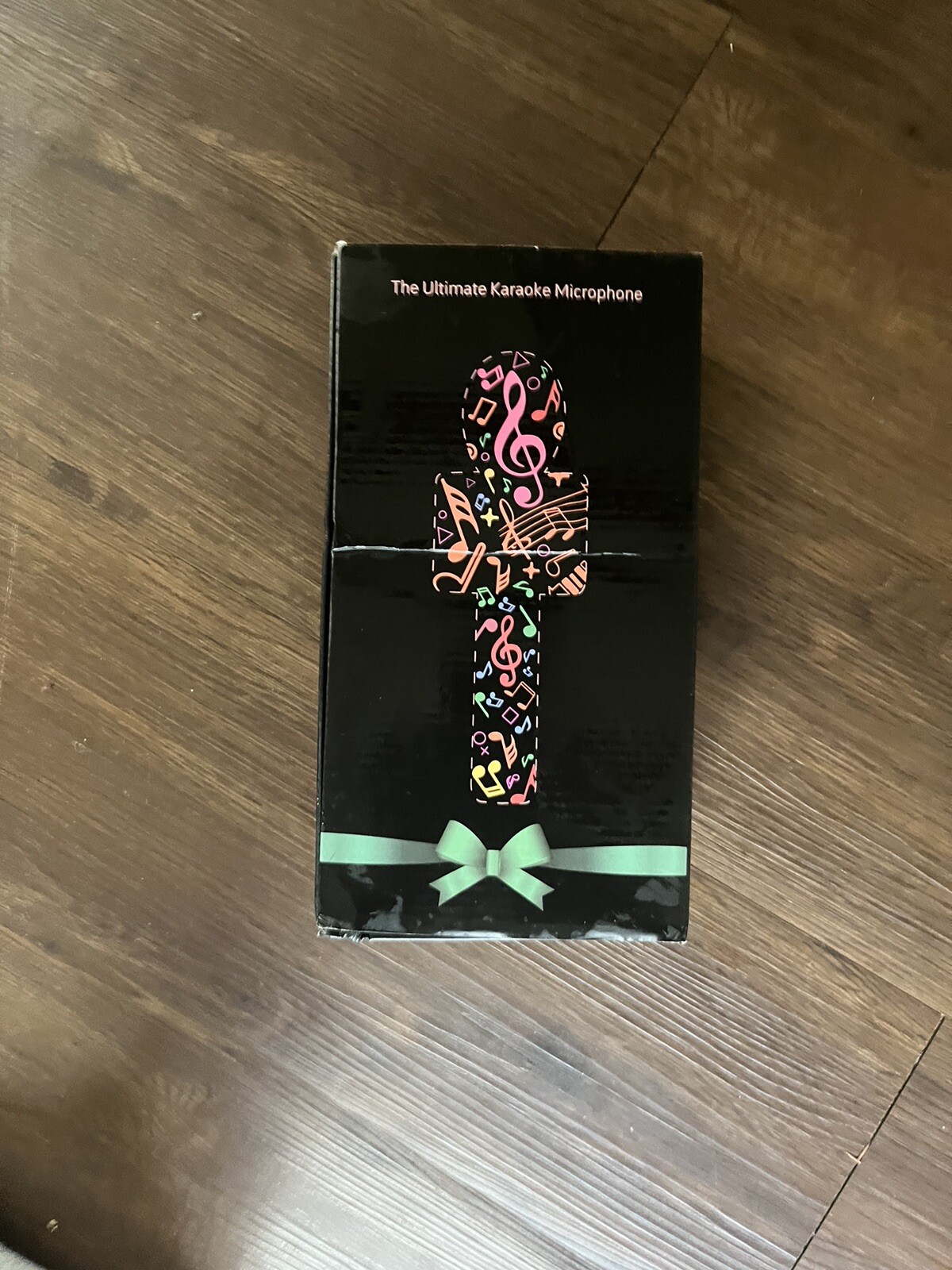 Two Karaoke Microphone