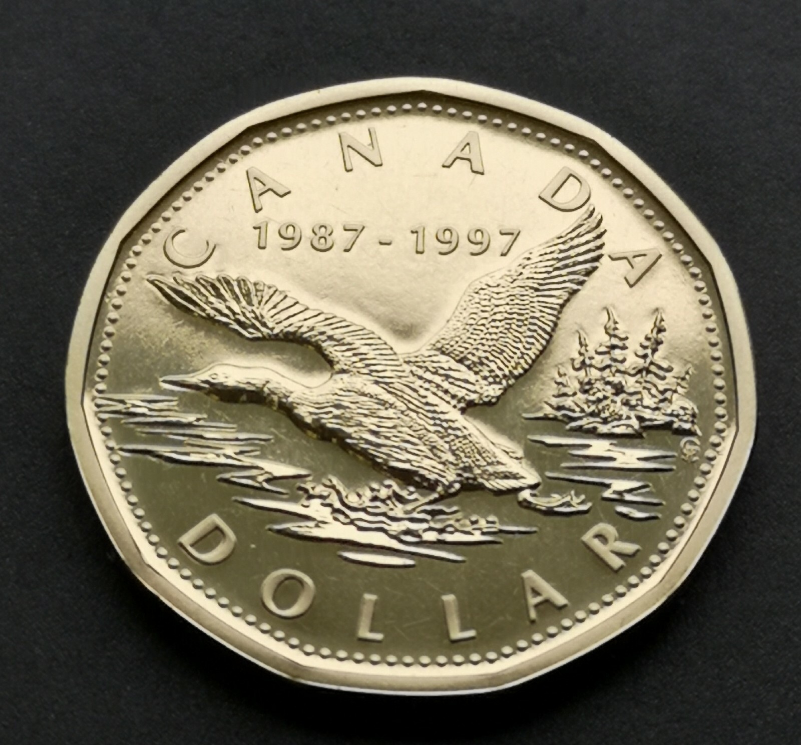 ***  CANADA   LOONIE  1997  ***  SPECIMEN  ***  FLYING   LOON  ***