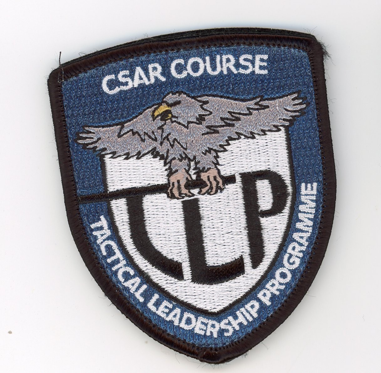PATCH SPAIN ALBACETE AB TACTICAL LEADRESHIP PROGRAMME DOU VEL BAC CSAR COURSE