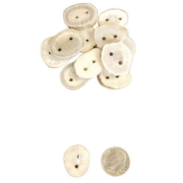 Glacier Wear Deer Antler Button - Dime Size (QTY 6)