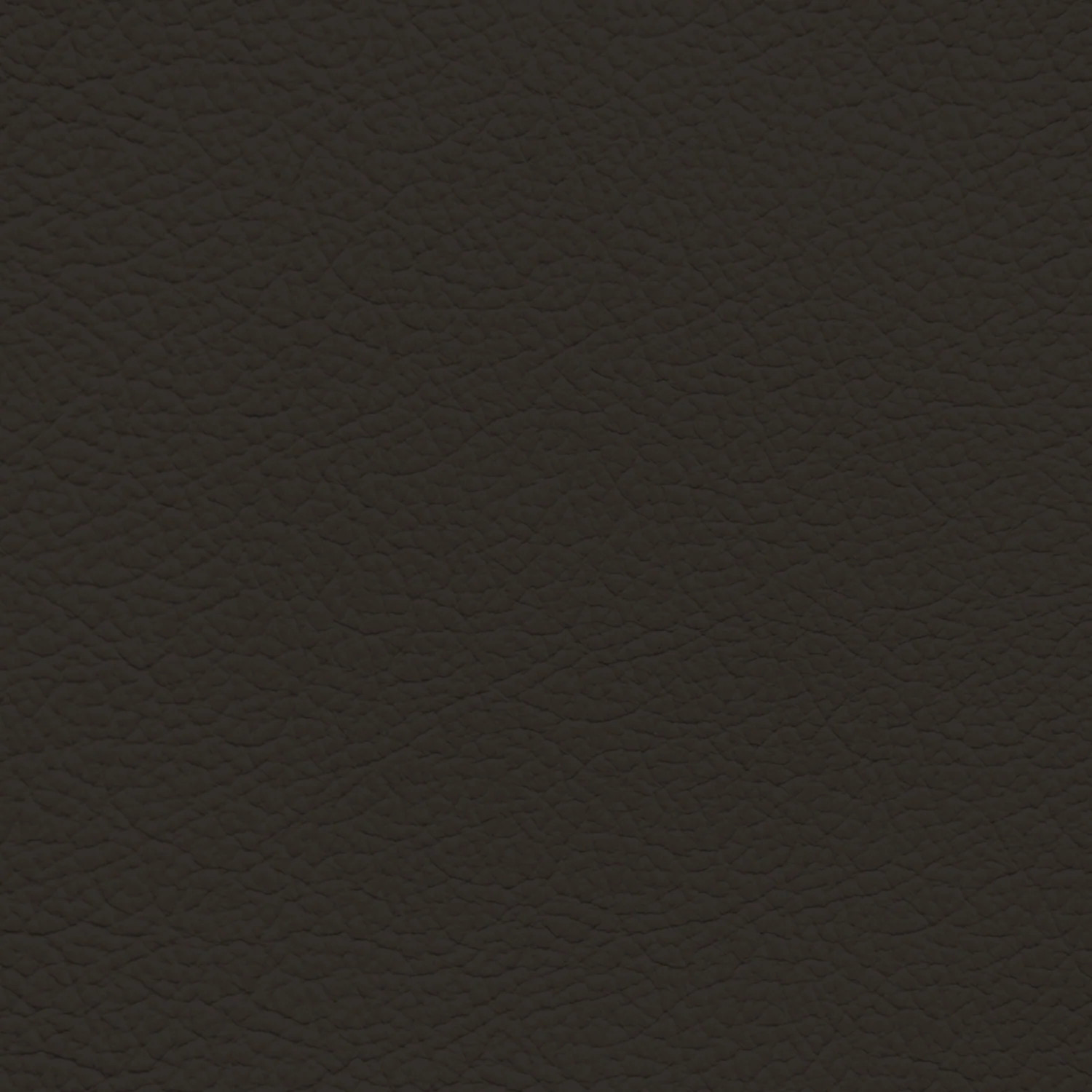 BMW Dalbergia Brown Leather Dye