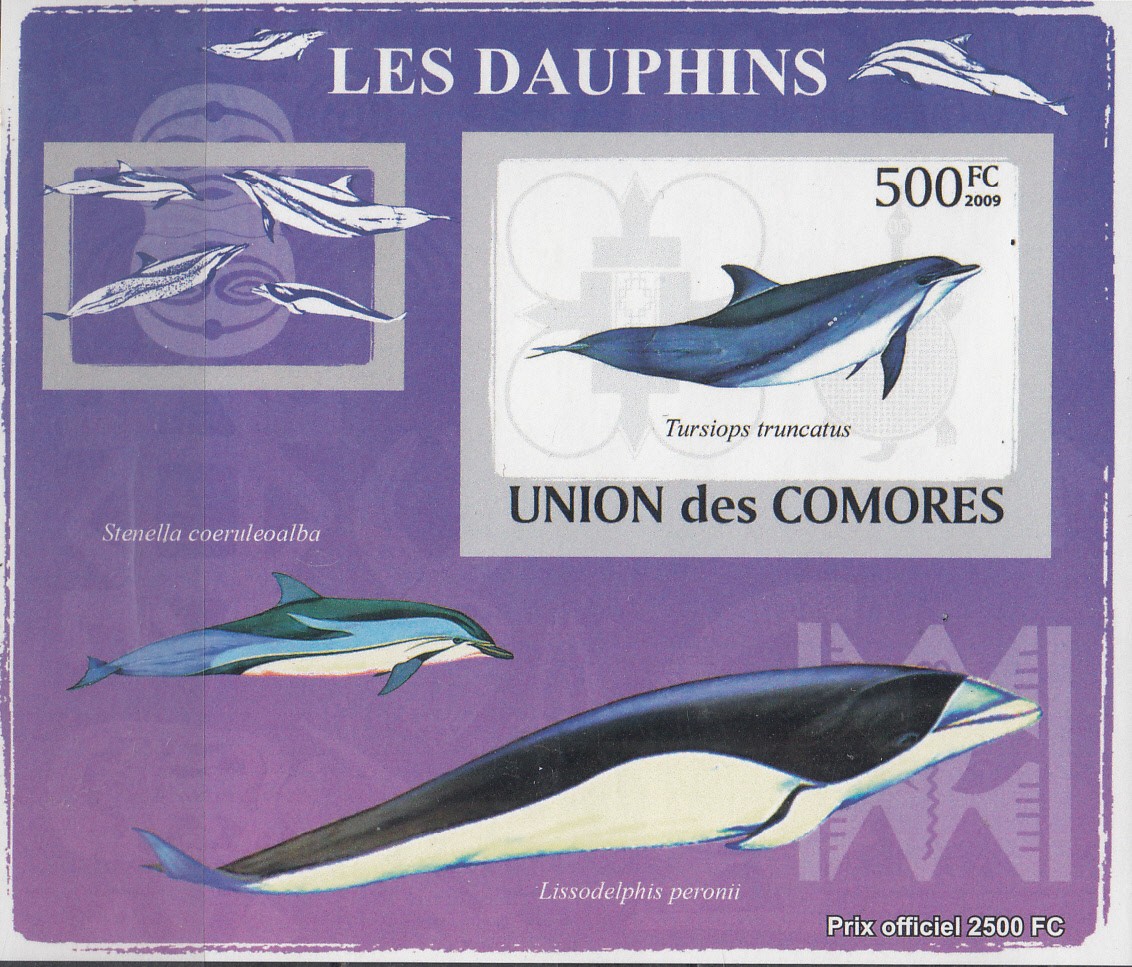 W COMORO Y2009 (52) (3v) DOLPHINS