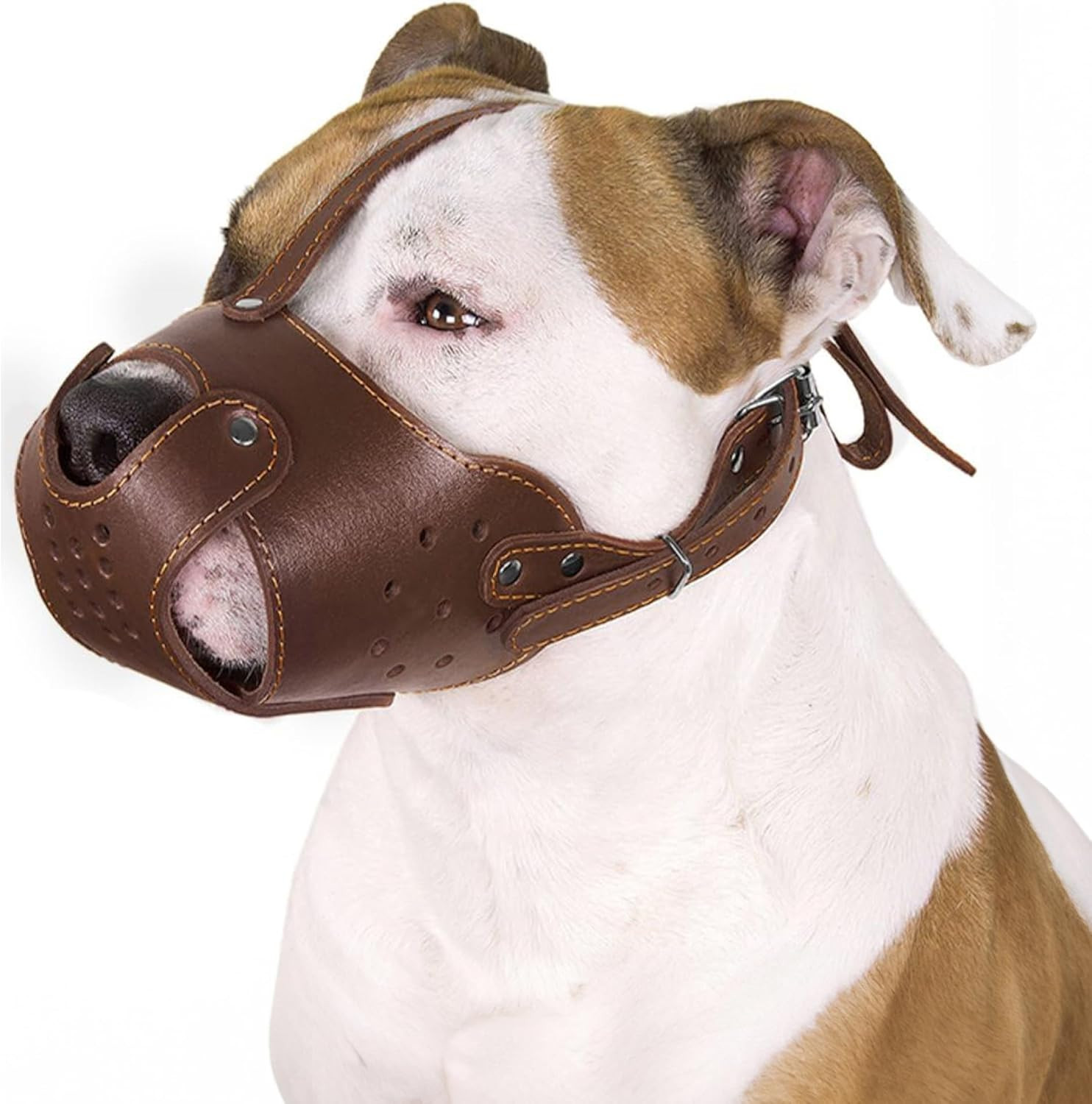 Dog Muzzle Pitbull Amstaff Basket Genuine Leather Staffordshire Terrier (Brown)
