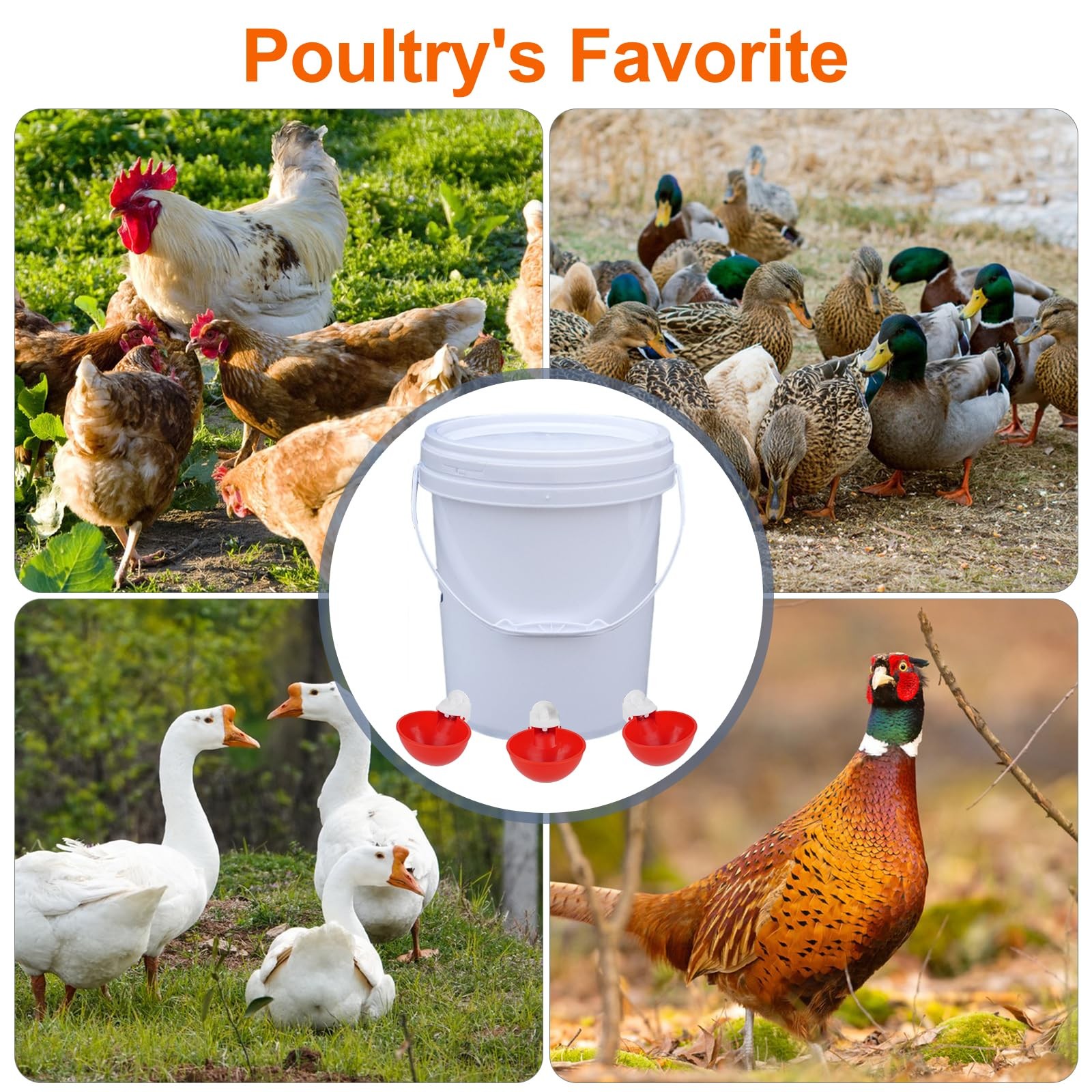 Automatic Chicken Waterer Cups, 6 Packs Large Water red