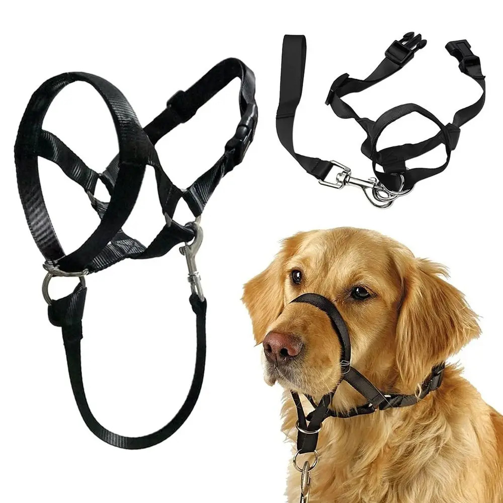 Creative Nylon Non Pull Training Leash Dog Halter Adjustable Dog Muzzle Leader H