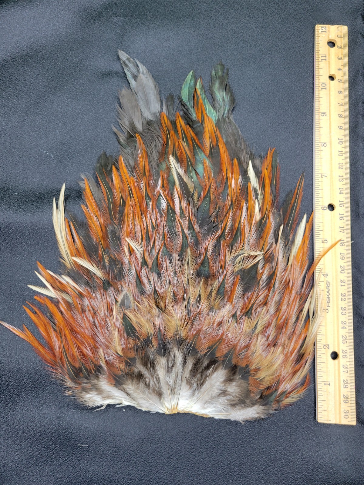 Lot  33,  Grade A,   Natural India Rooster Saddle Feathers for Fly Tying Jewelry