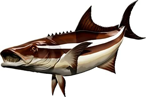 Cobia Beautiful Vinyl Sticker Fish Decals for Boat Car Vehicle Truck Fishing