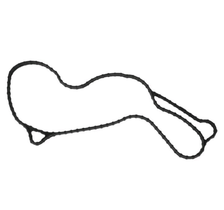 Genuine Ford Water Pump Assembly Gasket DG1Z8507B