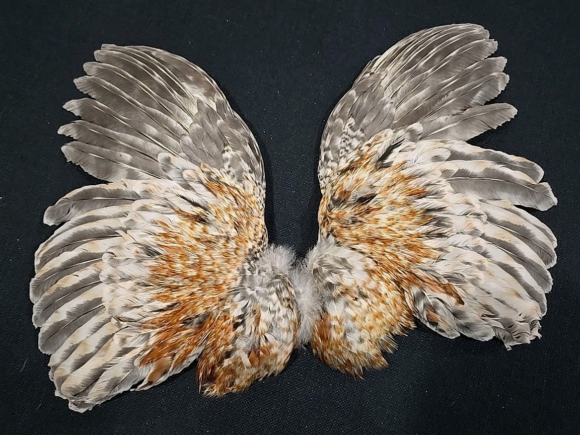 Barred Ginger Rooster Wings Craft Art fly tying soft hackle feathers Taxidermy