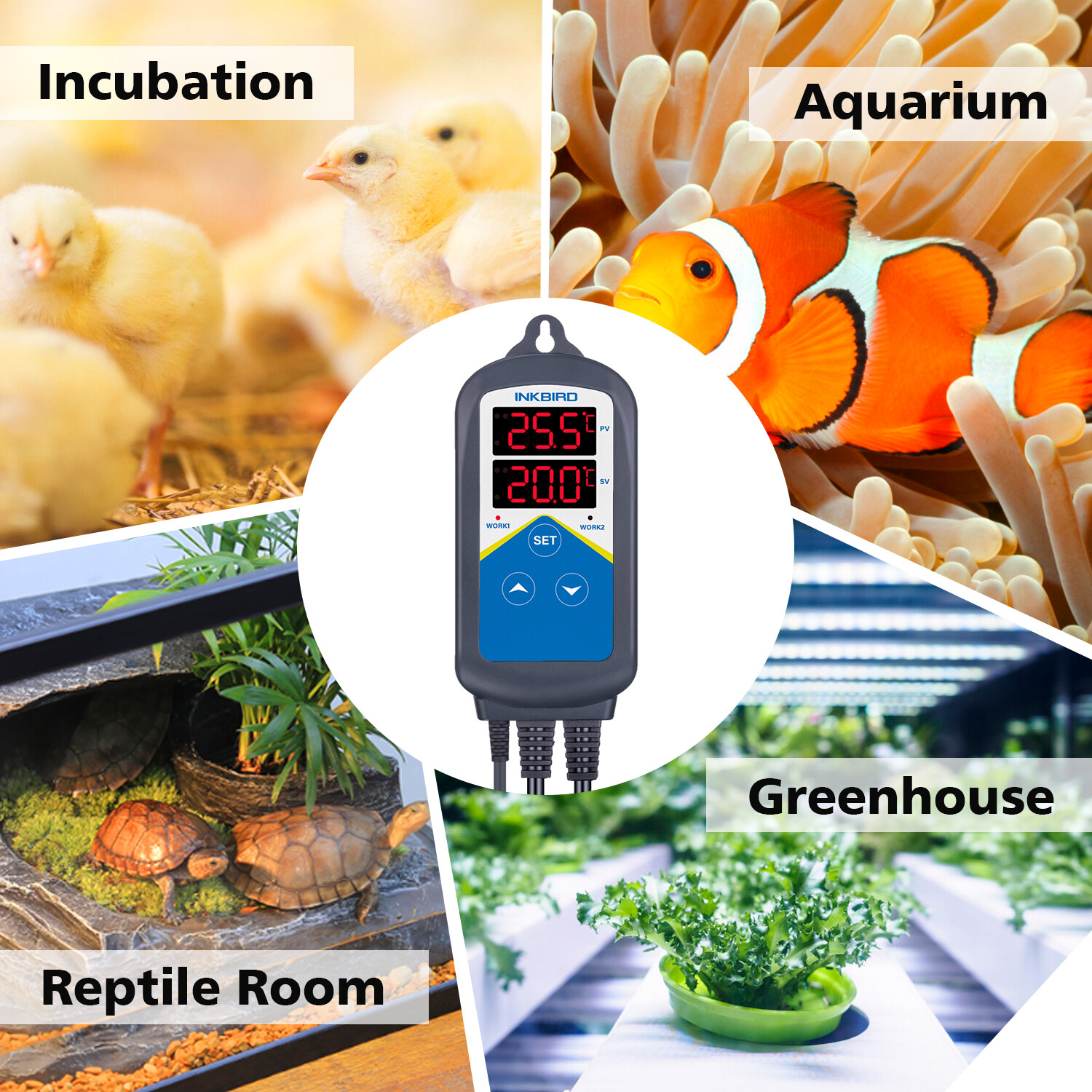 Inkbird 306 Digital Temperature Controller Heater Thermostat Switch Timer 110V