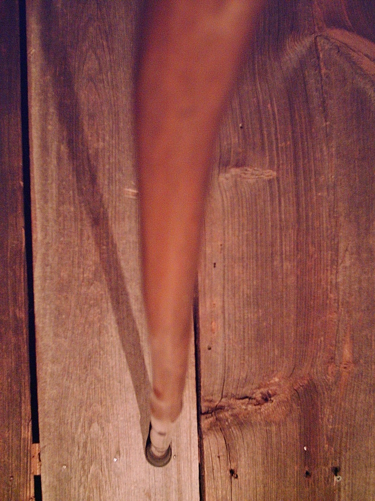 walking stick cane natural grown ROOT HANDLE for average size hands MADE IN USA
