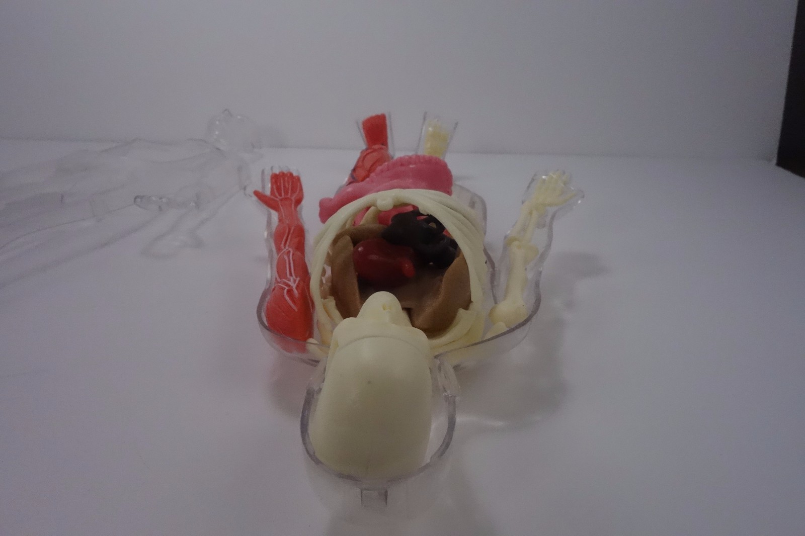 Educational Skeleton with Body and Parts for Replacement only not complete