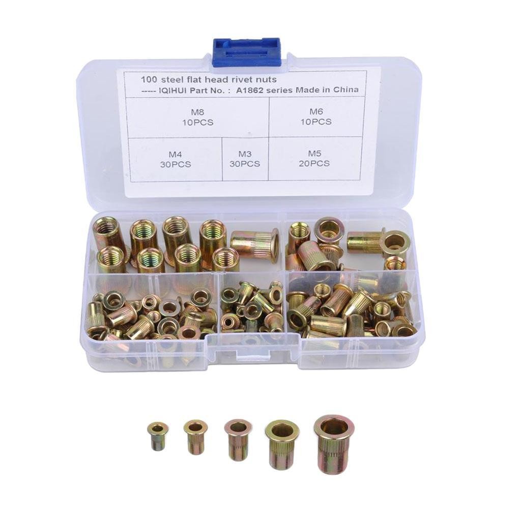 100pcs Zinc Mixed Carbon Steel Rivet Nut Kit Tool Set