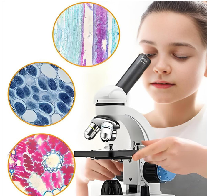 Microscope Slides and Covers – 50 Blank Glass Slides for Microscope with 100 Cov