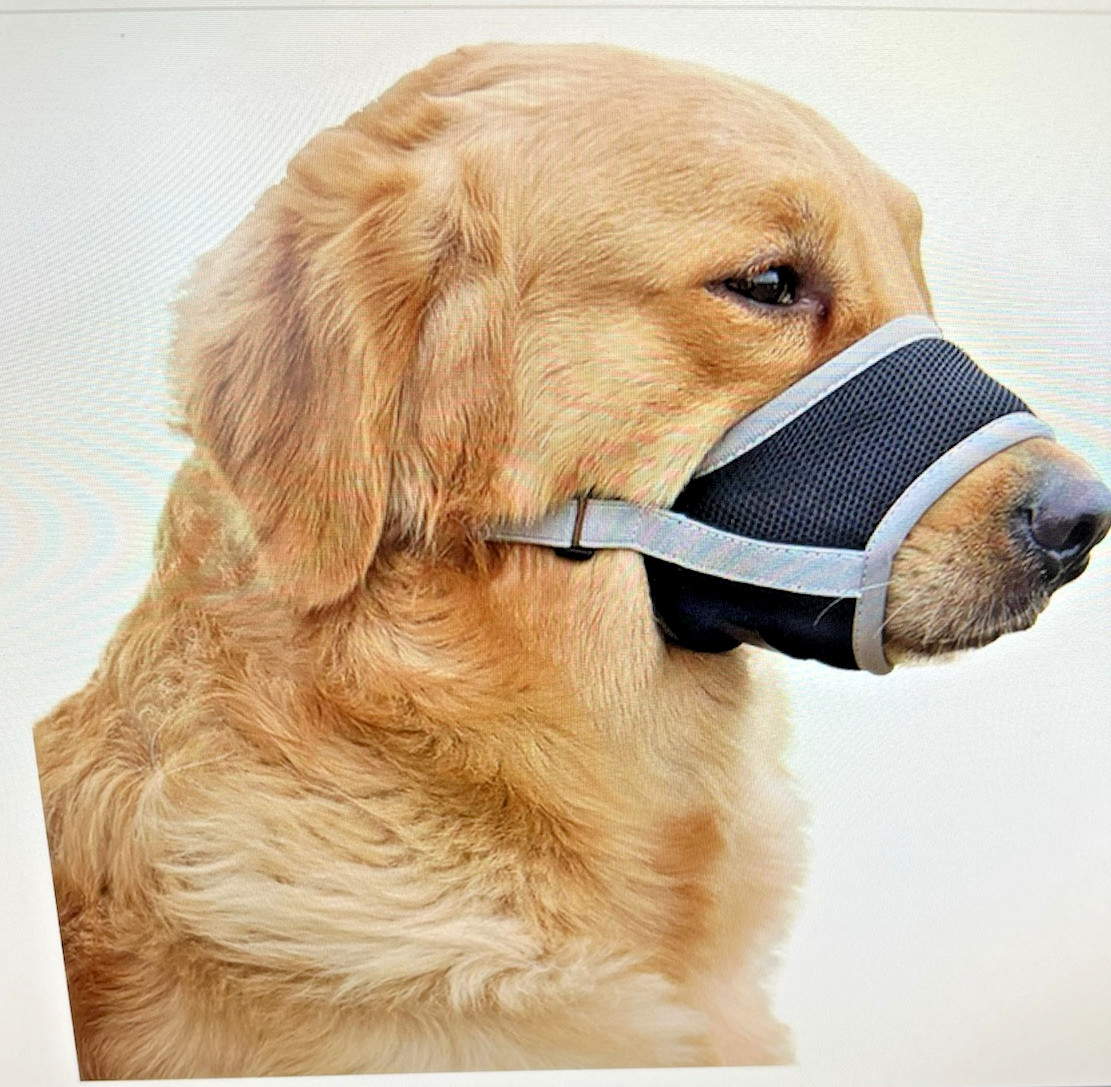 Dog Muzzle Soft and Breathable Prevents Barking Chewing Biting Adjustable SZ XL