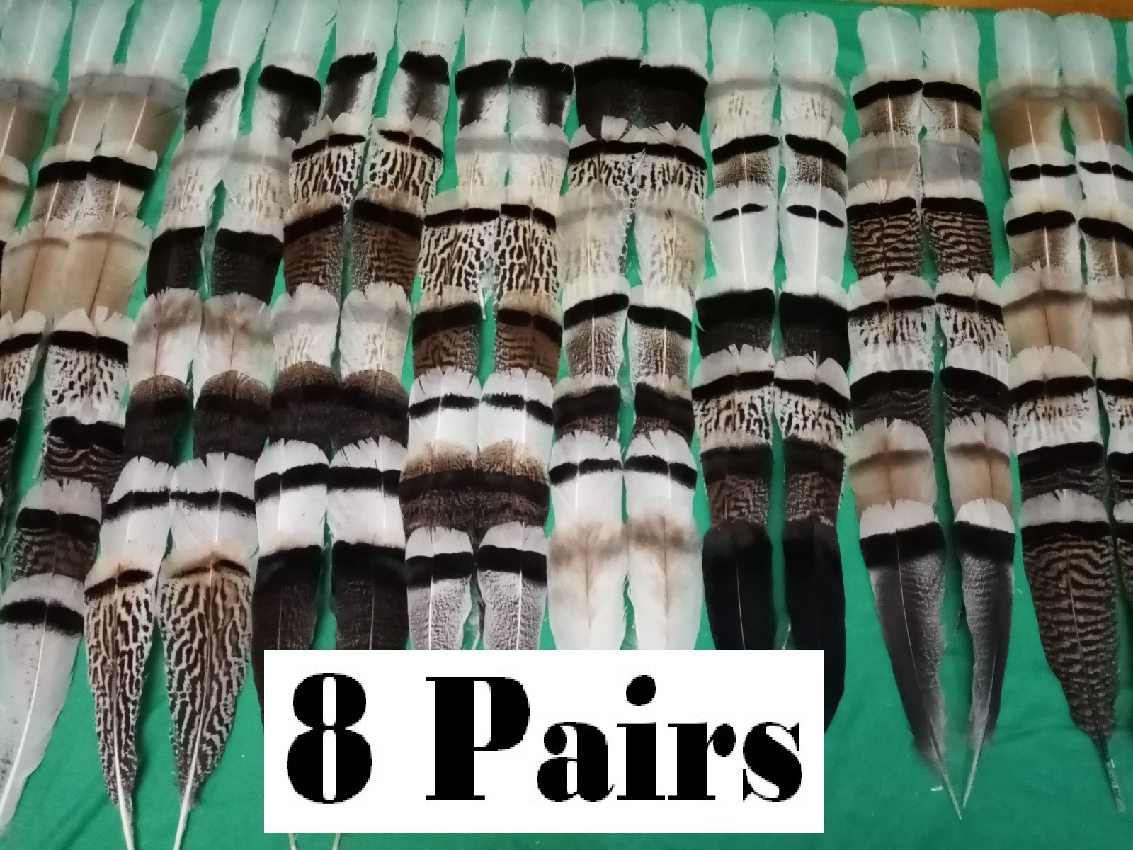 8 Pairs Turkey Feathers, Tail Feathers, Fly Tying Materials, Natural Feathers