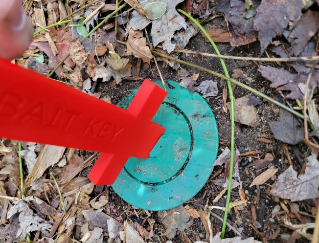 Termite Bait Key for opening termite traps