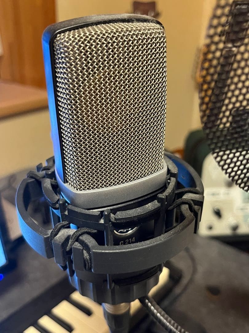 AKG C214 Large Diaphragm Condenser Microphone with Hard Case