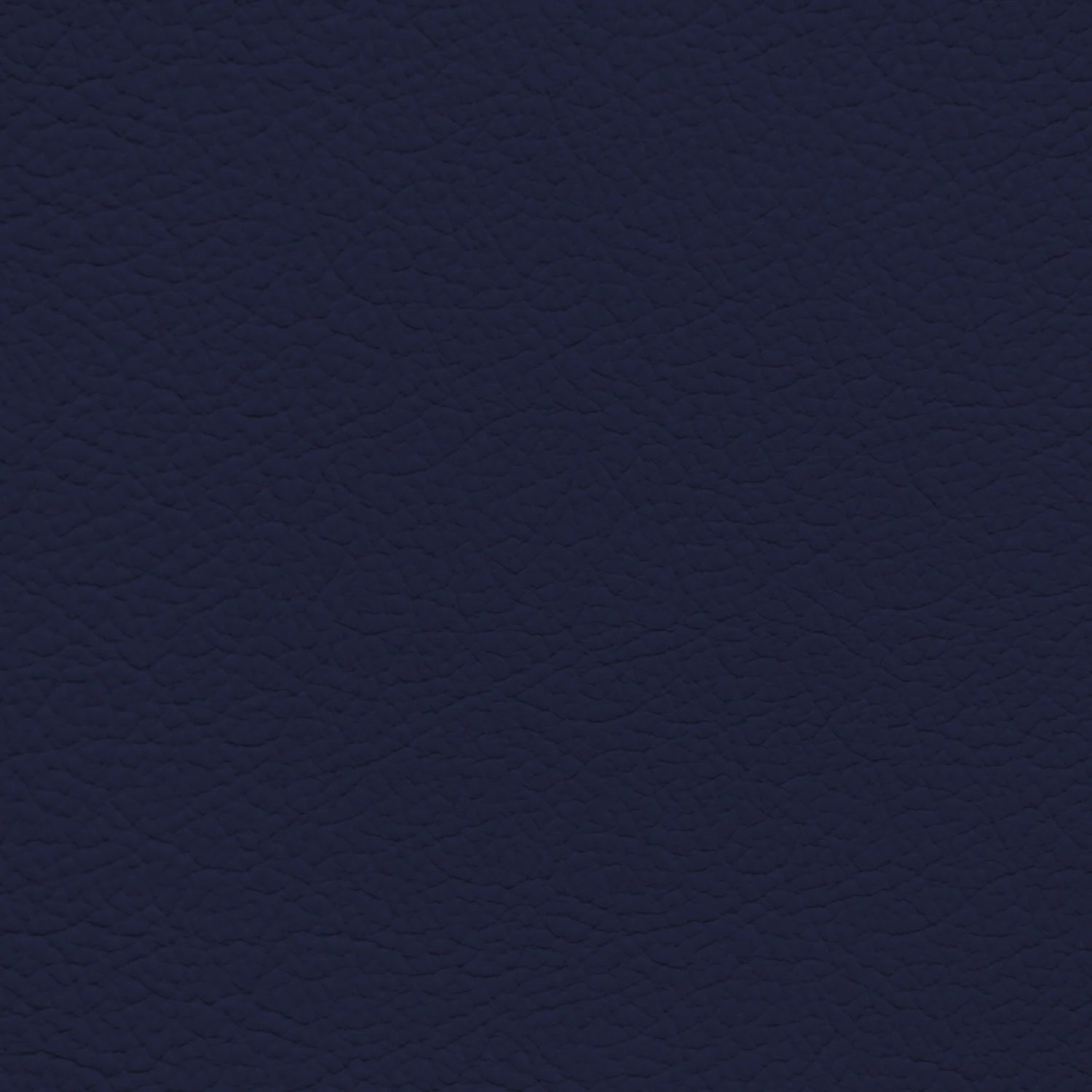 Jaguar Light Navy Leather Dye