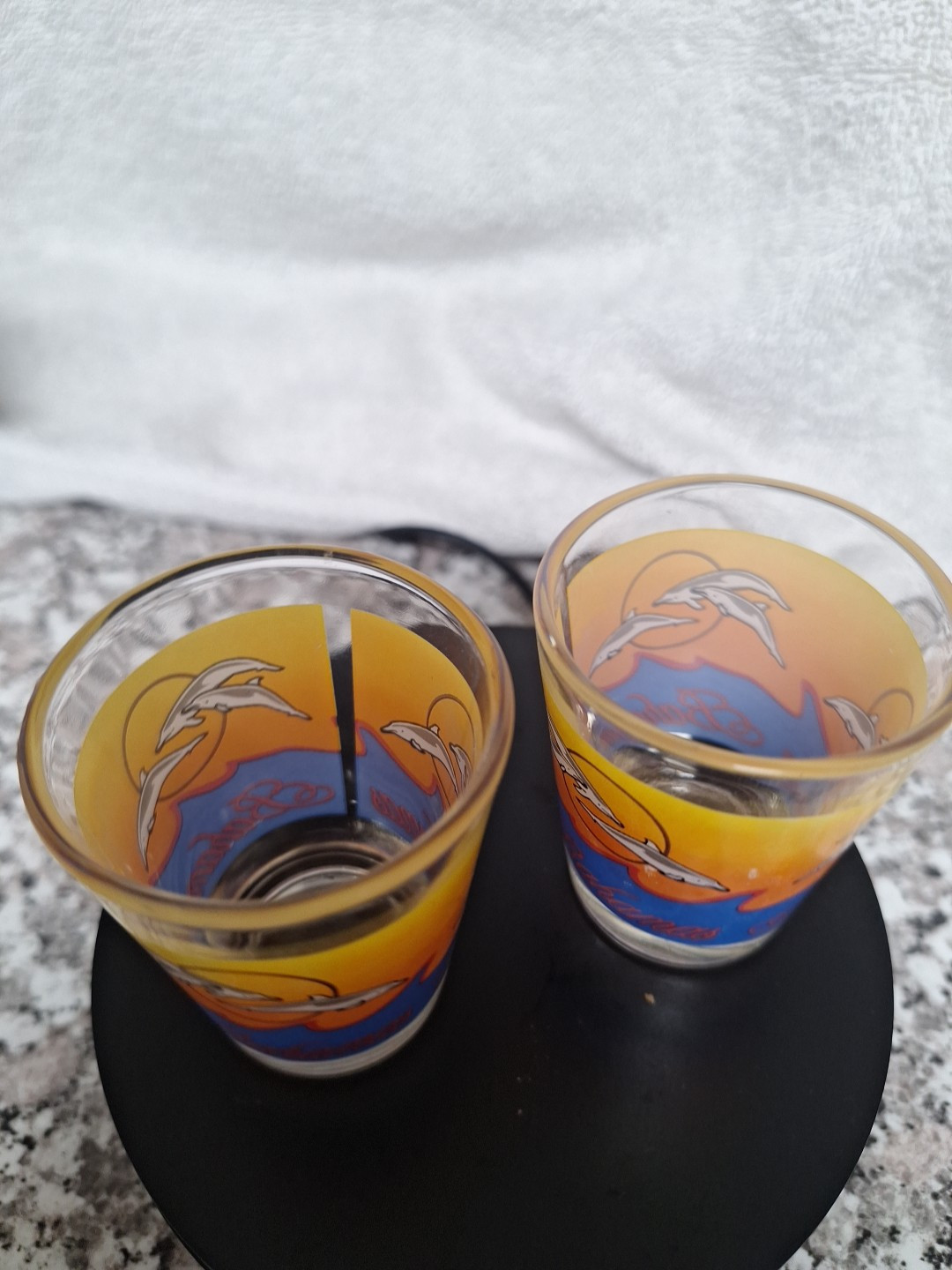 (2) Bahamas Shot Glasses Wih Dolphins And Waves