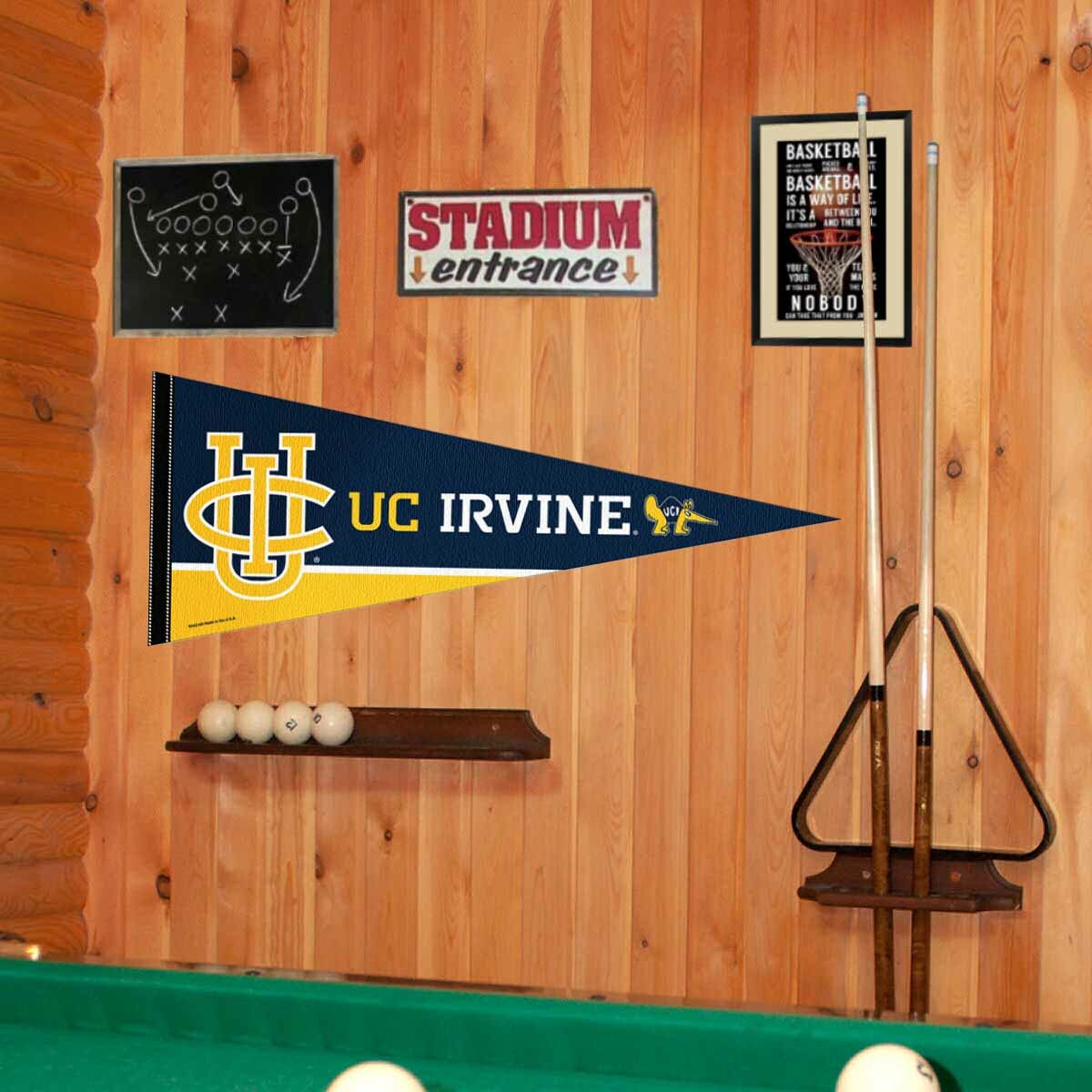 UC Irvine 12x30 Felt Pennant