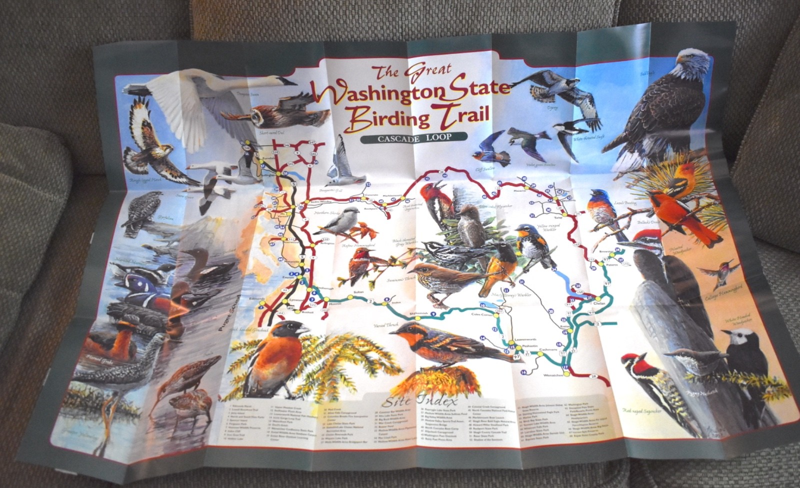 Great Washington State Birding Trail Cascade Loop map, Audubon, 2002 1st Print