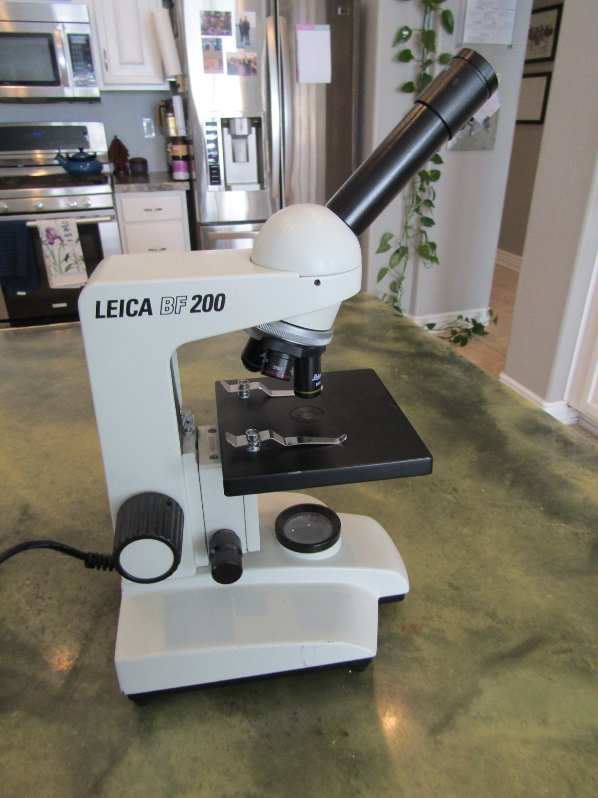 Genuine Leica BF 200 Monocular Compound Built in Illumination Lamp Microscope