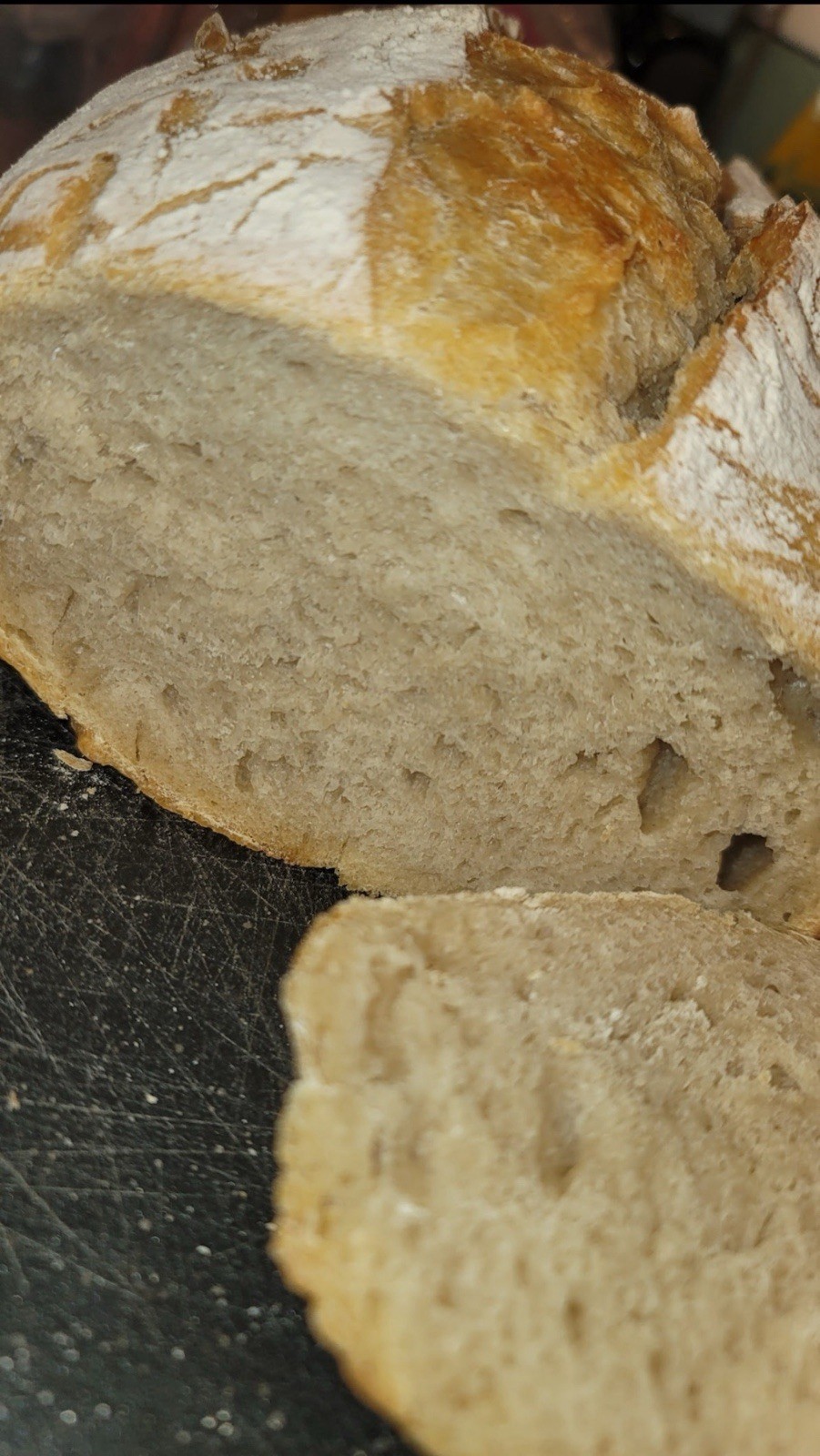 Infinity Dehydrated Sourdough