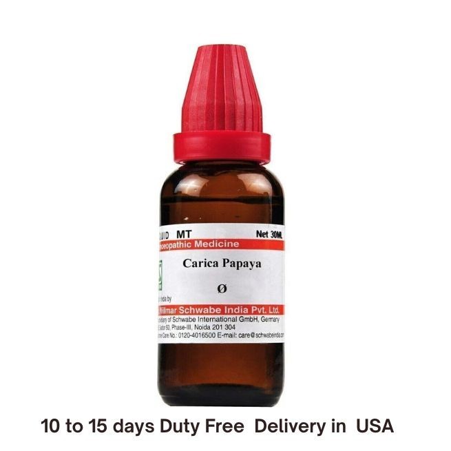 Dr Willmar Schwabe India Carica Papaya Mother Q Drop 30 ml Fast Shipping
