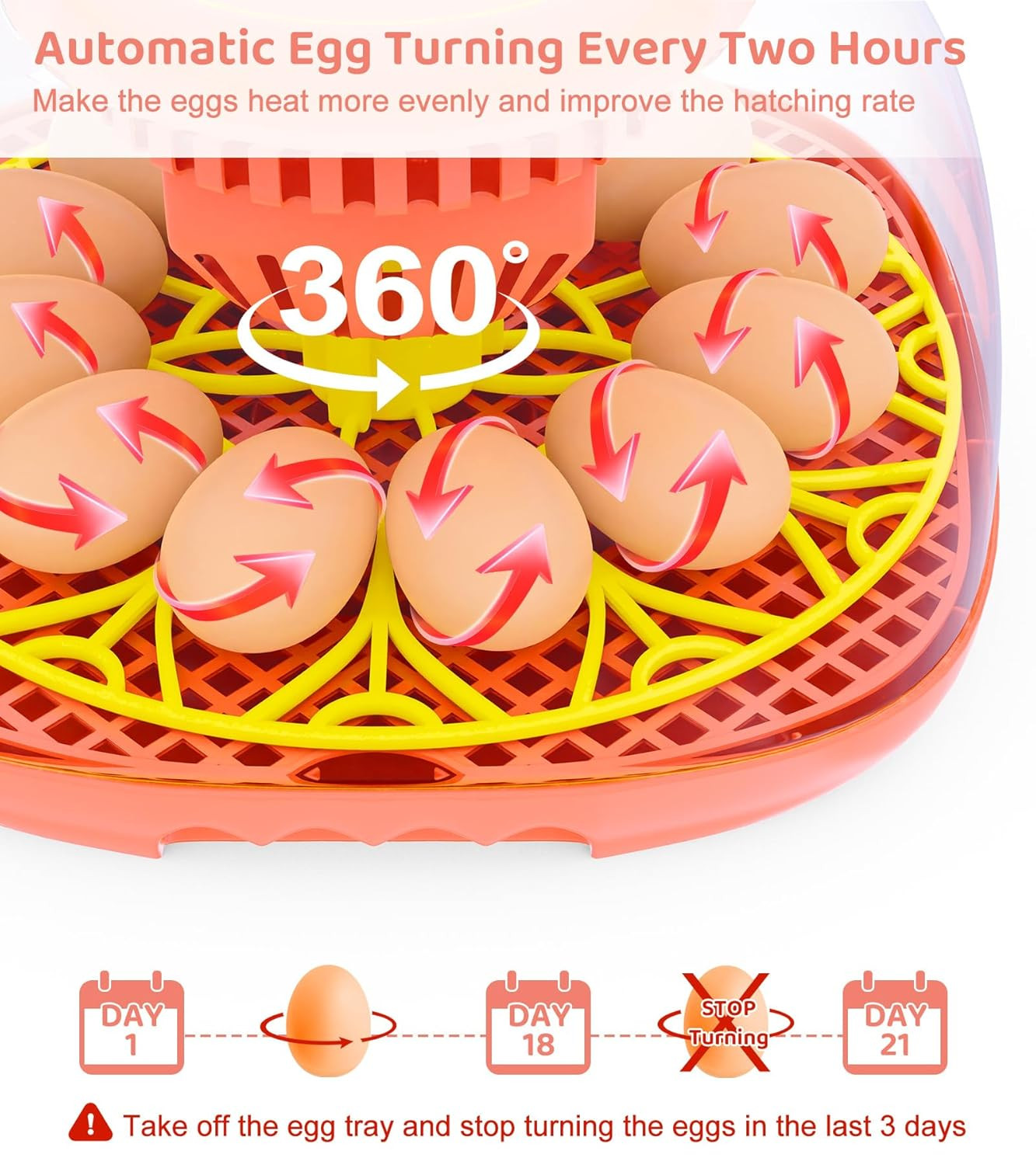 12 Egg Incubator for Hatching Eggs, Smart Temperature and Humidity Control, Auto