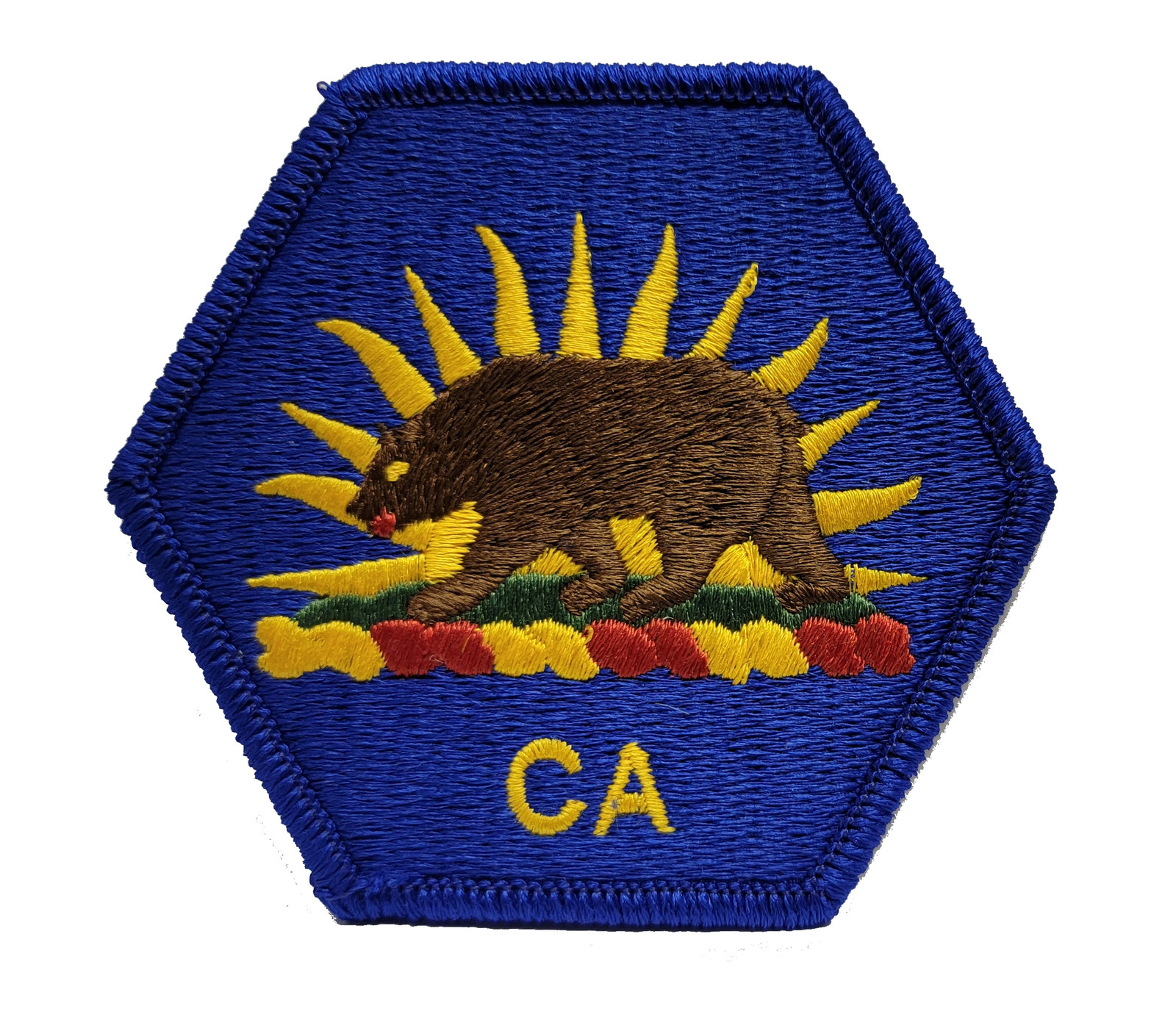 California State Guard Patch