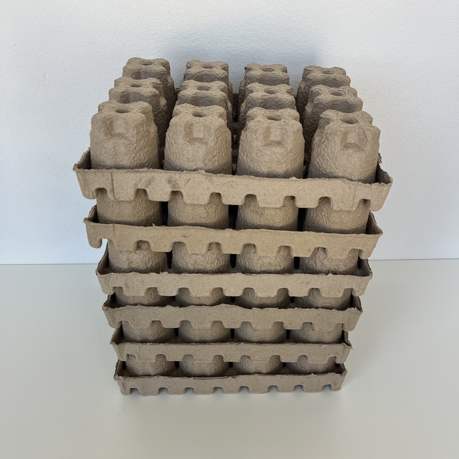 Beer Can Shipping Trays, Pack of 6